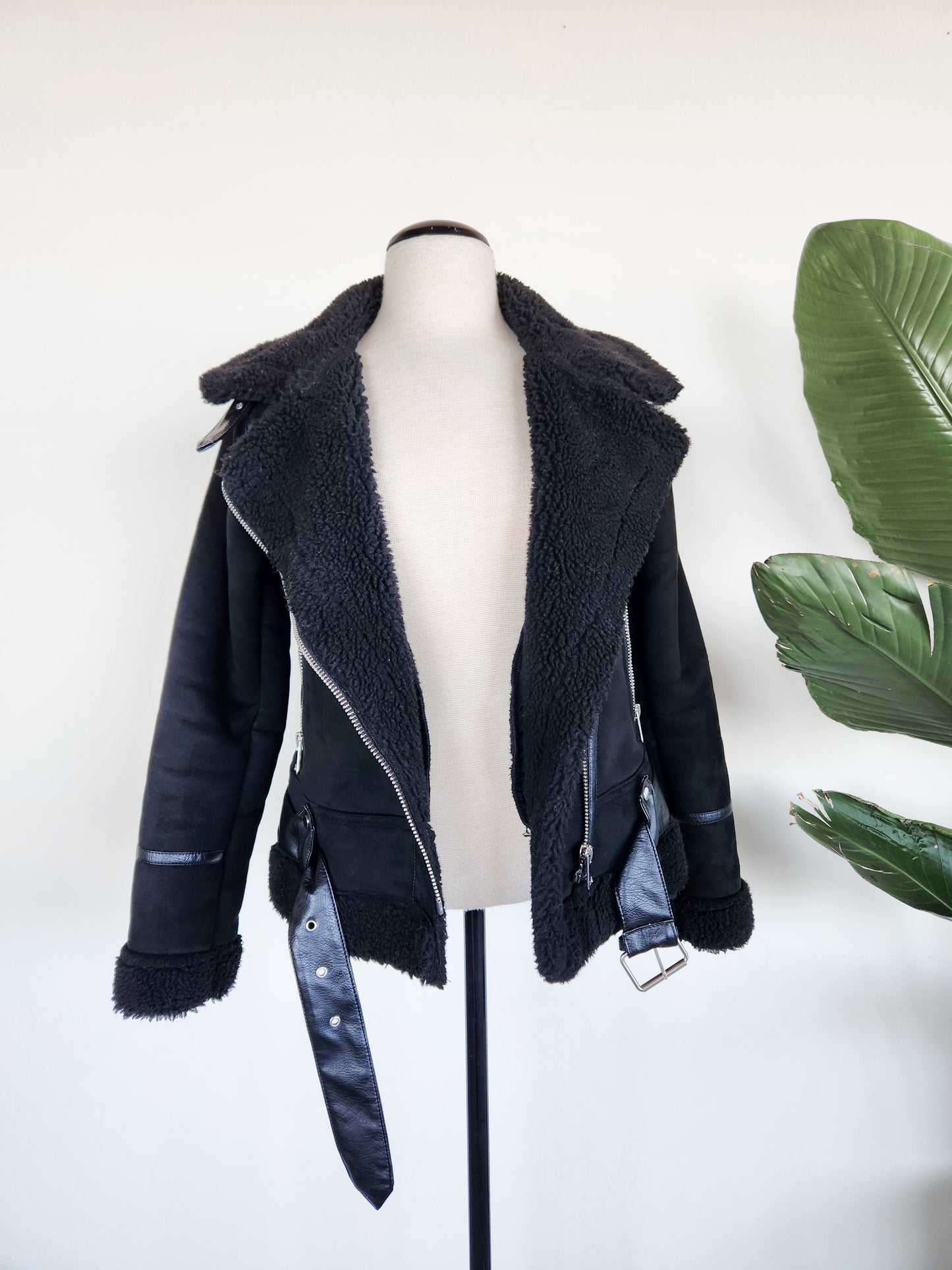 Zara Moto Suede Jacket in Black